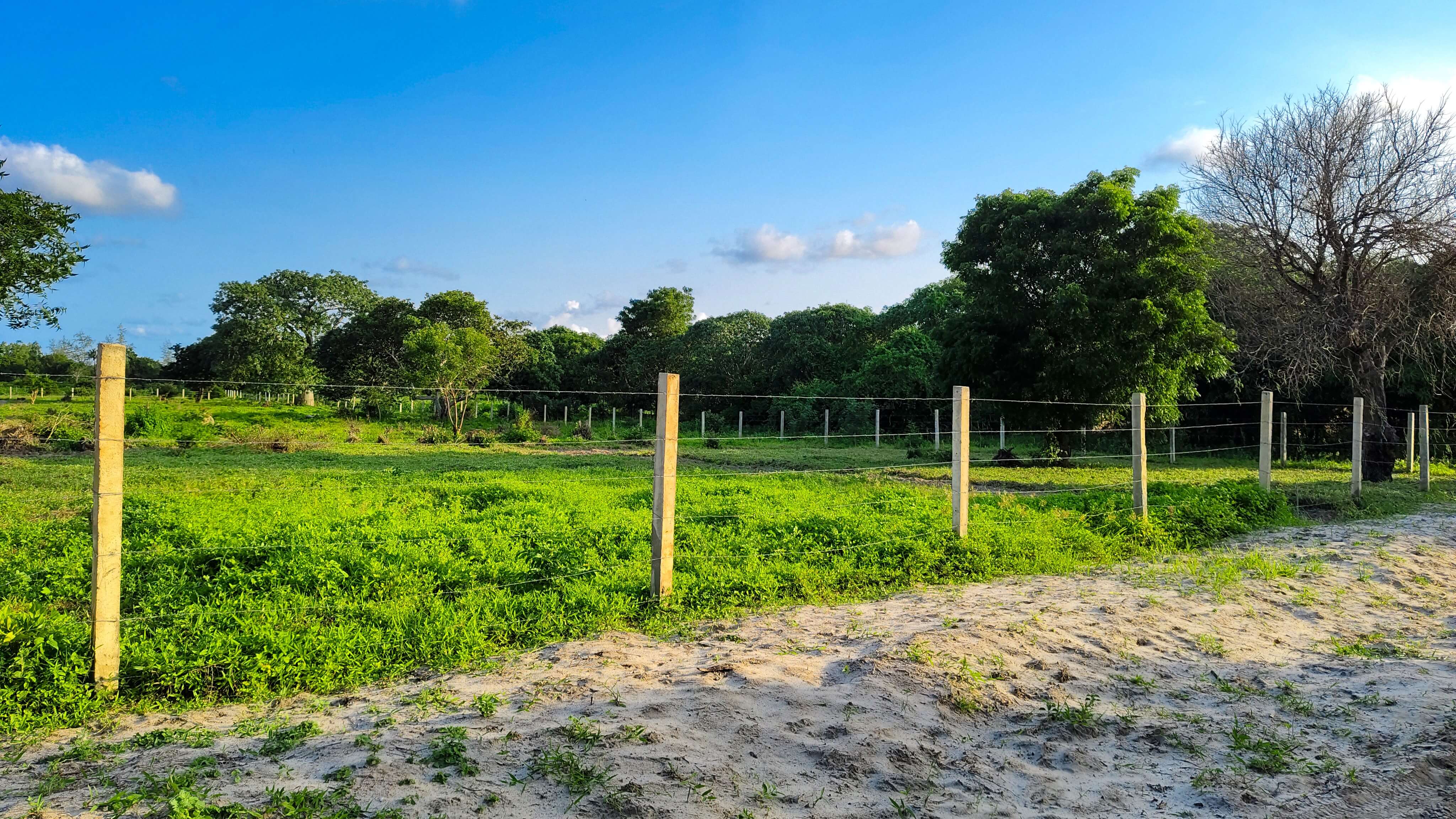 Hossanah Estate, Gede Project Pictorial 
